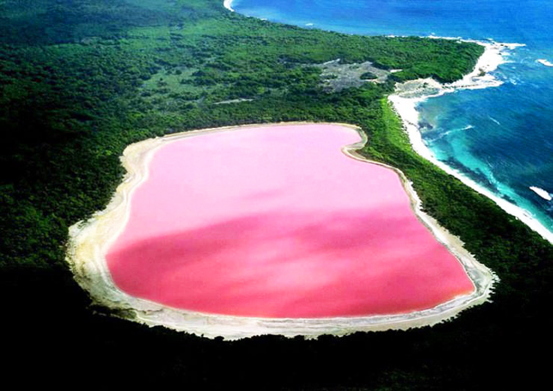 Jezioro Hillier o niesamowicie różowej barwie