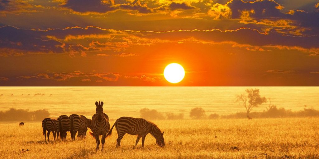 Na namibijskiej sawannie zobaczysz zebry, żyrafy i… można by tak dalej wymieniać.
