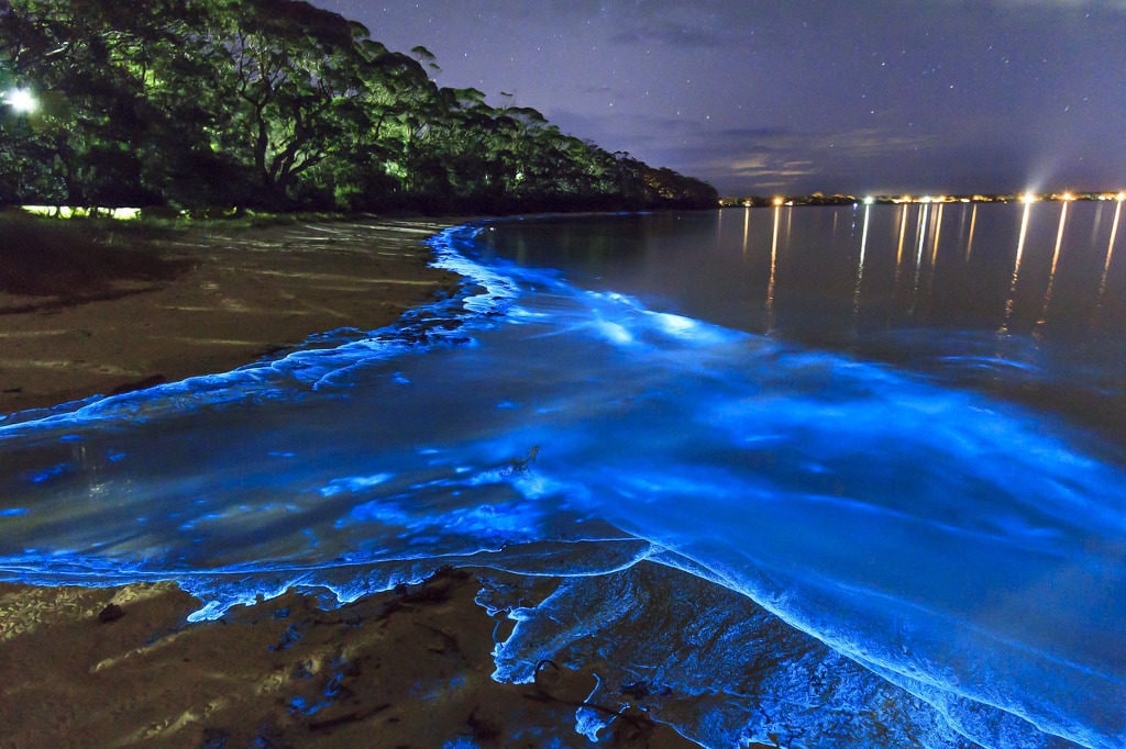 Wyspy Vaadhoo na Malediwach, tylko na tych wyspach występuje fluorescencyjne zjawisko, gdzie fitoplankton znajdujący się w wodzie świeci nocą. fot. autor nieznany